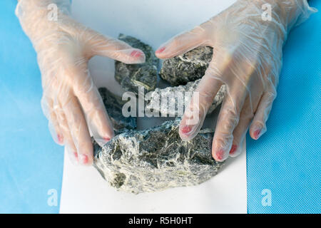 Une fille est technicien de laboratoire pour l'analyse des pierres d'amiante holding. Banque D'Images