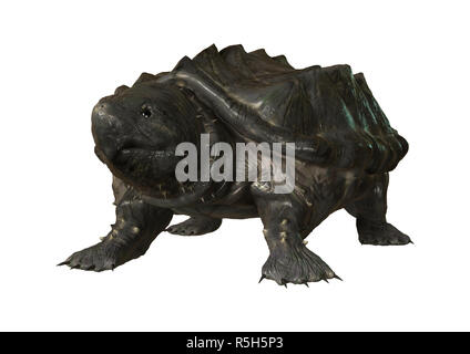 Le Rendu 3D tortue alligator on White Banque D'Images