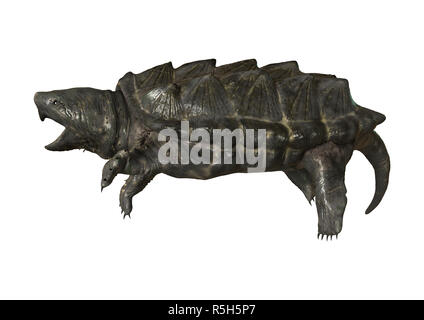 Le Rendu 3D tortue alligator on White Banque D'Images