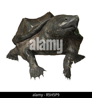 Le Rendu 3D tortue alligator on White Banque D'Images