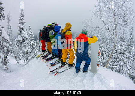 L'équipe de groupe de profiteurs les skieurs, les planchistes se tenir sur la montagne et regarder vers le bas Banque D'Images