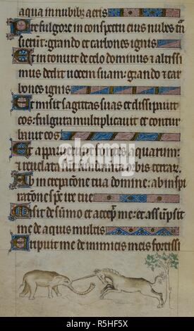 Bas-de-page scène montrant une licorne, la charge de l'éléphant. Psautier de la reine Mary. Angleterre (Londres) ; années 1310-1320. Source : Royal 2 B. VII, f.100v. Langue : le latin. Banque D'Images