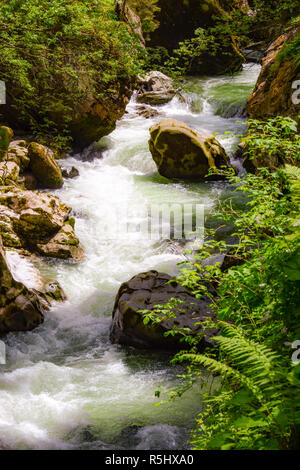 Rivière qui coule à travers les gorges de Breitachklamm Banque D'Images