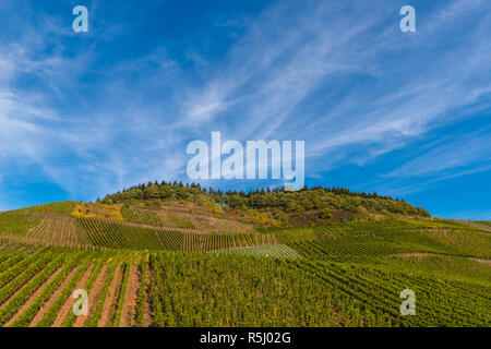 Paysage avec vignes le long de la Moselle et vallée près du village de Schweich, Rhénanie-Palatinat, Allemagne, Europe Banque D'Images