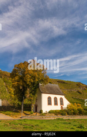 Chapelle au pied du vignoble dans le village de Mehring sur la Moselle et la vallée. Rhineland-Palantine, Germany, Europe Banque D'Images