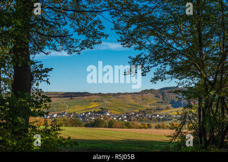 Vignoble sur les pentes douces près de Trèves sur la Moselle, Rhineland-Palantine, Allemagne Banque D'Images