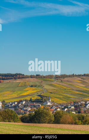 Vignoble sur les pentes douces près de Trèves sur la Moselle, Rhineland-Palantine, Allemagne Banque D'Images