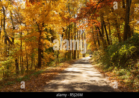 Un pays rural road voyages entre des arbres présentant des couleurs de l'automne à l'approche de l'hiver Banque D'Images