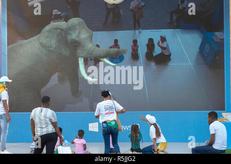 Johannesburg, Afrique du Sud, 1er décembre 2018. Les enfants jouent avec un affichage numérique interactif à Nelson Mandela Square à Sandton, dans le cadre du Festival Citoyen du monde : Mandela 100. L'Afrique du Sud est en célébrant le centenaire de la naissance de Madiba. Credit : Eva-Lotta Jansson/Alamy Live News Banque D'Images