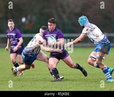 Leicester, Royaume-Uni. 1er décembre 2018. Rugby Union. Leicester v Lions Lions Peterborough rfc. Dan Martin en action pour les Lions de Leicester au cours de la RFU Ligue Nationale 2 Nord match entre Leicester et LIons Lions Peterborough rfc joué à TMDP Park, Yelverton, Leicester. © Phil Hutchison / Alamy Live News Crédit : Phil Hutchinson/Alamy Live News Banque D'Images