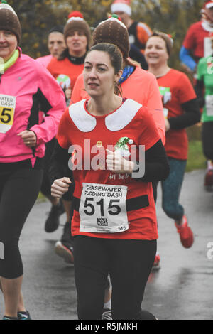 Chasewater, Staffordshire, Royaume-Uni. 1er décembre 2018. Les coureurs participant à la course annuelle de pudding Chrsitmas Crédit : Daniel James Armishaw/Alamy Live News Banque D'Images