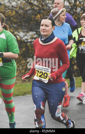 Chasewater, Staffordshire, Royaume-Uni. 1er décembre 2018. Les coureurs participant à la course annuelle de pudding Chrsitmas Crédit : Daniel James Armishaw/Alamy Live News Banque D'Images