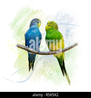 Deux perruches perroquets aquarelle Banque D'Images