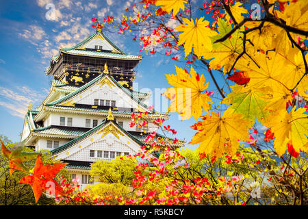 Beau château d'Osaka à Osaka, Japon avec arrière-plan de nice Banque D'Images