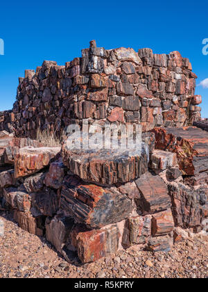 L'agate House ruin, Long Log et Agate House, des sentiers du Parc National de la Forêt Pétrifiée, Arizona. Banque D'Images