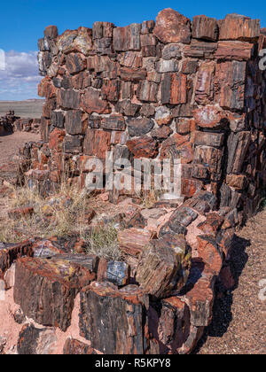 L'agate House ruin, Long Log et Agate House, des sentiers du Parc National de la Forêt Pétrifiée, Arizona. Banque D'Images