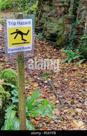 Trébuchement racines exposées un panneau d'avertissement dans le jardin ouvert au public. Banque D'Images