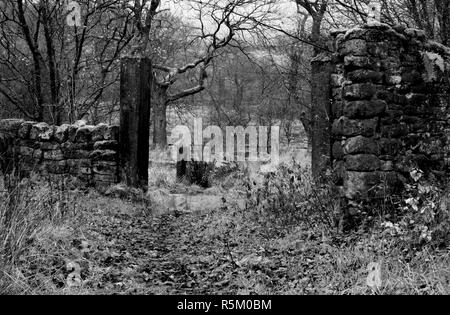 Ruines gothique sombre et décor d'Hollinshead Hall, près de Kaesfurt Darwen, Lancashire en noir et blanc avec gateposts. Banque D'Images