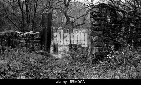 Ruines gothique sombre et décor d'Hollinshead Hall, près de Kaesfurt Darwen, Lancashire en noir et blanc avec gateposts. Banque D'Images