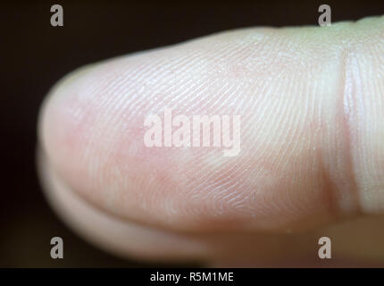 Macro close up detail d'un bout de doigt et sa imprimer Banque D'Images