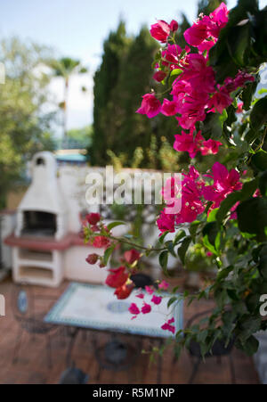 Patio et de bougainvilliers dans un jardin espagnol Banque D'Images