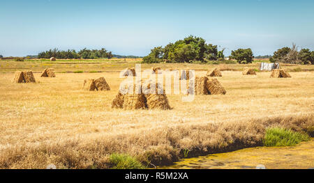 Bottes de paille peut être retiré à l'autre les marais salés de l'île de Noimoutier, France Banque D'Images