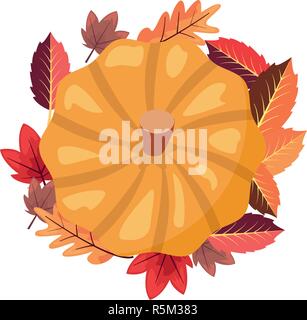 Feuillage laeves citrouille white background vector illustration vector illustration Illustration de Vecteur