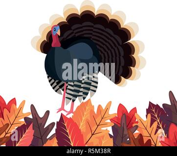 Feuillage laeves citrouille white background vector illustration vector illustration Illustration de Vecteur