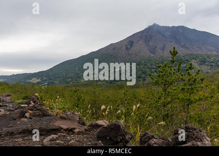 Sakurajima au Japon Banque D'Images