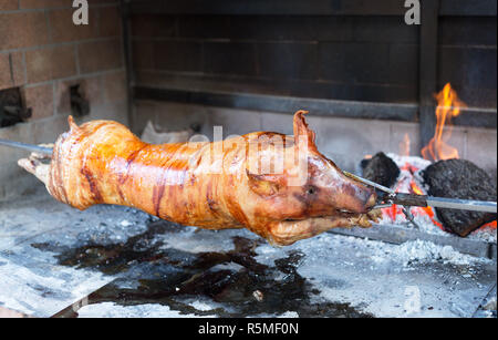 Le cochon de lait rôti à la broche dans les charbons Banque D'Images