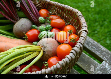 Betteraves, tomates, carottes et cucamelons dans un panier en osier Banque D'Images