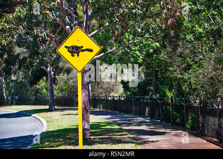 -Turtle crossing the road sign Banque D'Images