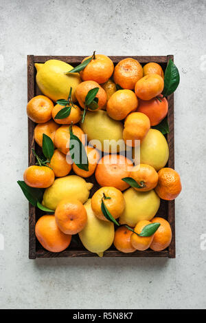 Divers agrumes dans fort - citrons, mandarines, oranges avec des feuilles. Les agrumes biologiques frais, copie de l'espace. Banque D'Images