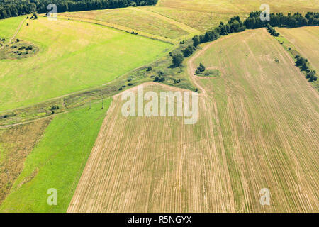 L'hiver vert et jaune des champs récoltés sur des collines Banque D'Images