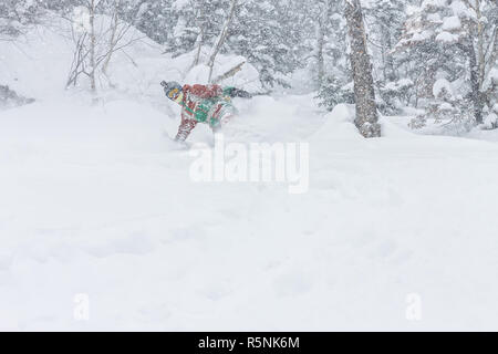 Freerider snowboarder homme descend sur poudreuse dans les montagnes dans une chute de neige Banque D'Images