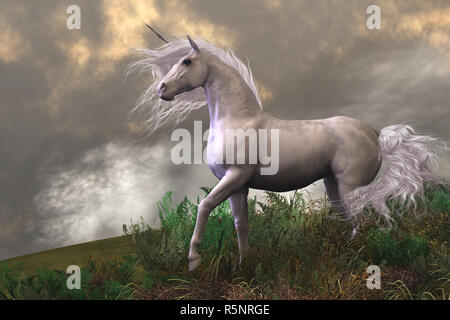 Unicorn White Stallion Banque D'Images