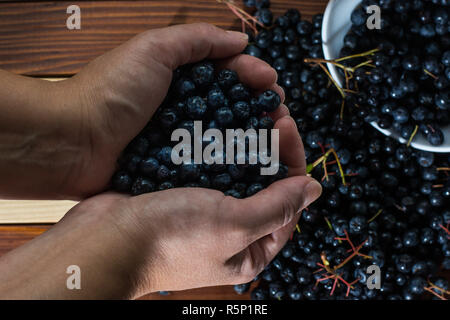 Les mains pleines de aronia sur la table en bois Banque D'Images