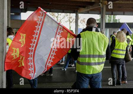 Lauterbourg, France. 06Th Nov, 2018. Un manifestant porte un drapeau de l'Alsace. Autour de 100 militants français gilet jaune a protesté contre l'Allemand Français de passage frontalier à Lauterbourg contre le gouvernement français et l'augmentation de la taxe sur les carburants. Ils étaient secondés par environ 30 militants de l'extrême droite allemande Women's Alliance Kandel. Ils faisaient partie des plus gros mouvement de protestation gilet jaune en France. Crédit : Michael Debets/Pacific Press/Alamy Live News Banque D'Images