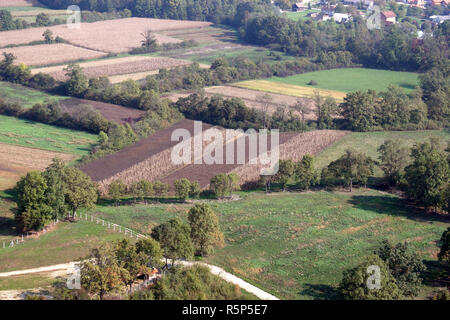 Vue aérienne de prés et champs dans le Nord de la Croatie en été, Zdencina, Croatie Banque D'Images