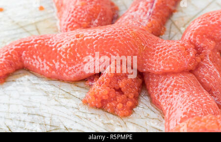 Oeufs de saumon sur une station de nettoyage de poisson blanc montrant entaille, Seward Alaska Banque D'Images