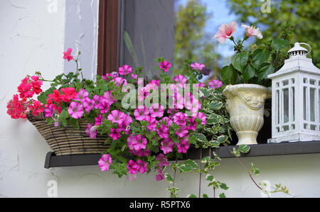 La décoration florale sur une fenêtre avec des fleurs roses Banque D'Images