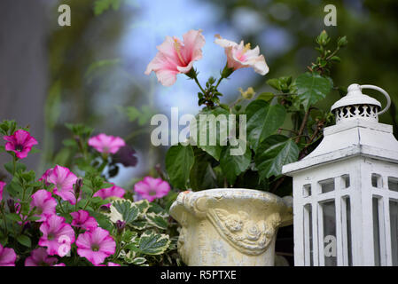 La décoration florale sur une fenêtre avec des fleurs roses Banque D'Images