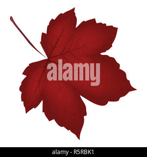 Image de la feuille d'érable rouge réaliste . Vector illustration isolé sur fond blanc. Banque D'Images