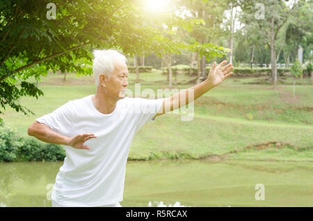 Les personnes âgées qui pratiquent le qigong dans le parc Banque D'Images