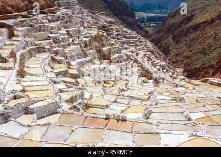 Terrasses de sel appelé "alineras de Maras' dans la région de Cusco, Pérou Banque D'Images