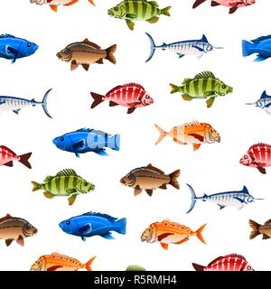 Divers poissons australiens motif transparent Illustration de Vecteur