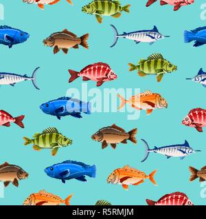 Divers poissons australiens motif transparent sur fond de couleur Illustration de Vecteur