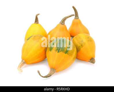 Groupe de six gourdes ornementales bicolore poire orange Banque D'Images