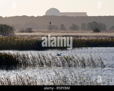 RSPB Minsmere UK Suffolk et le busard lointain avec la centrale de Sizewell Banque D'Images