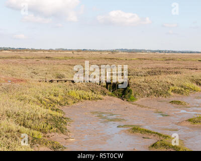 Pont en bois traversant en paysage de marais à l'extérieur journée ensoleillée Banque D'Images